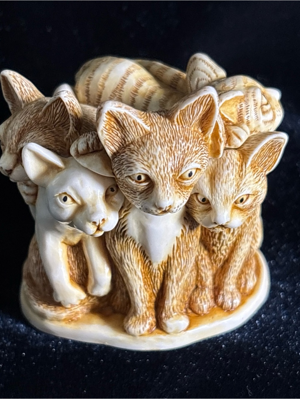 Vintage Harmony Kingdom Multiple Cat And  One Mouse Trinket Box